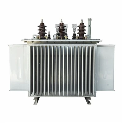 Oil Immersed Type Transformer